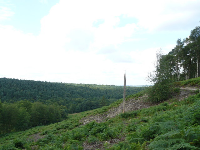 View from Coldharbour Common